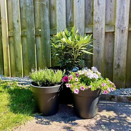 Vacation For 4 Persons Tatil Evi *