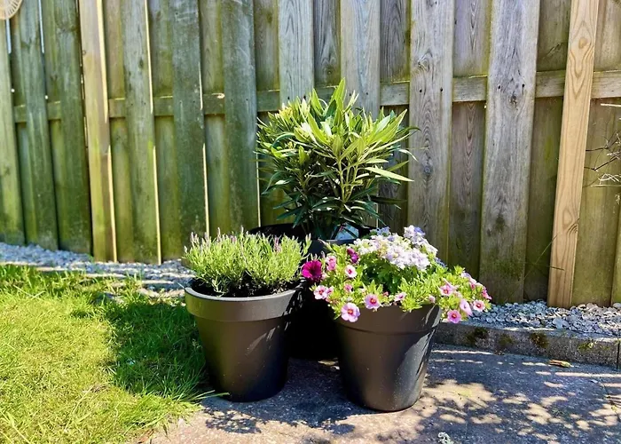 Vacation For 4 Persons Tatil Evi *